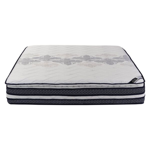baytonia_main product photo