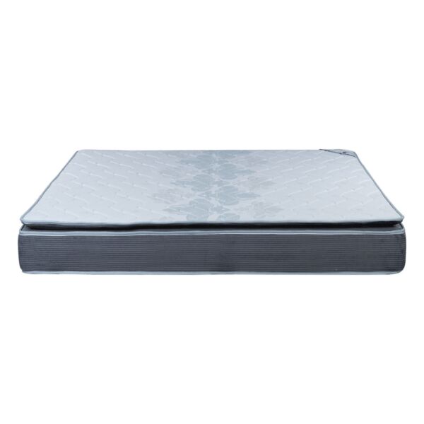 baytonia_main product photo