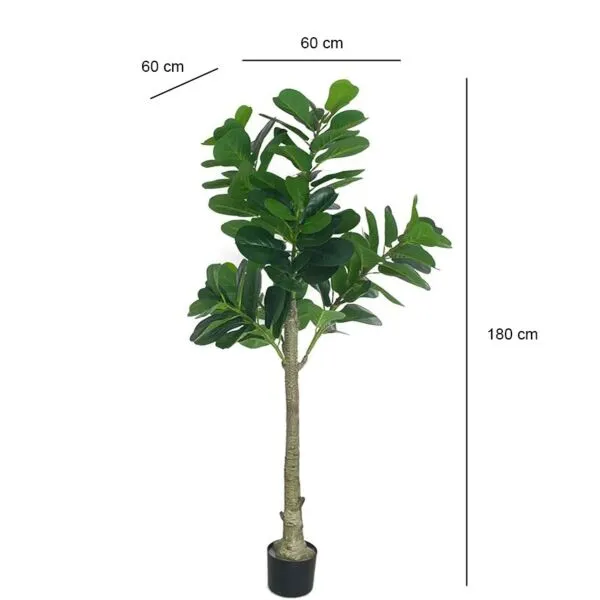 baytonia_gallery_image