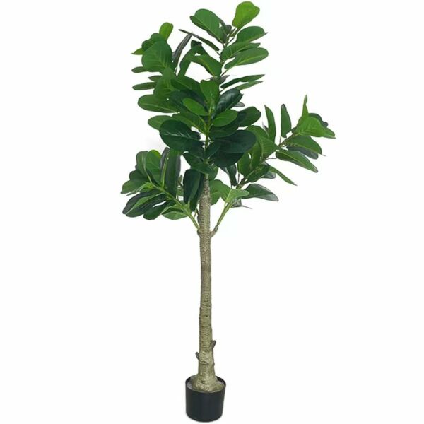 baytonia_gallery_image