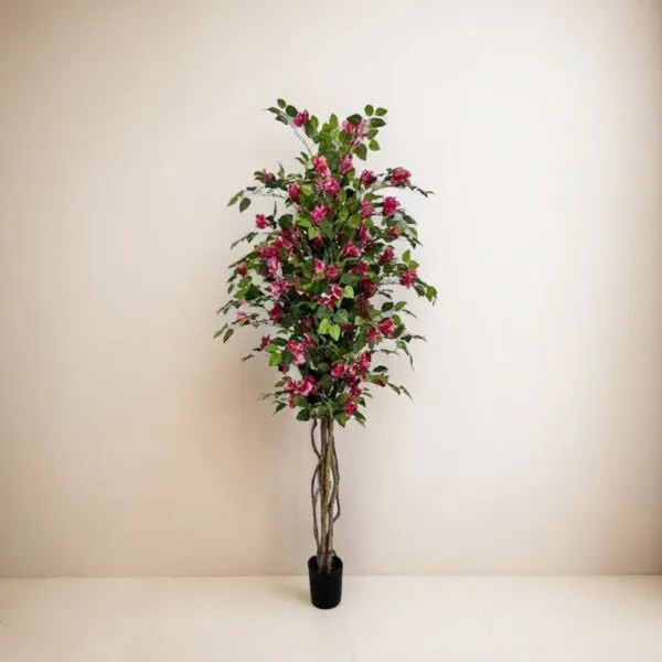 baytonia_gallery_image