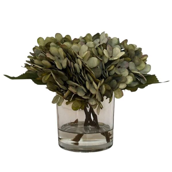 baytonia_main product photo