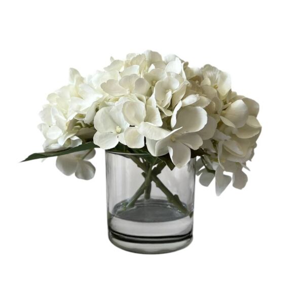 baytonia_main product photo
