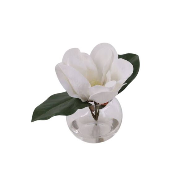 baytonia_main product photo