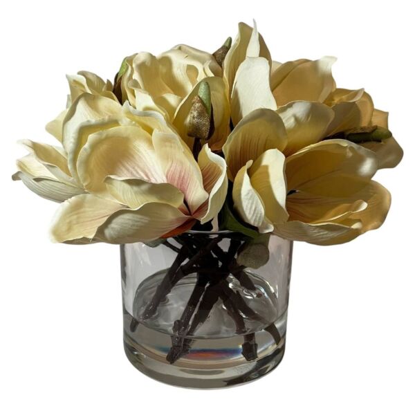 baytonia_main product photo