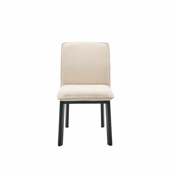 baytonia_main product photo