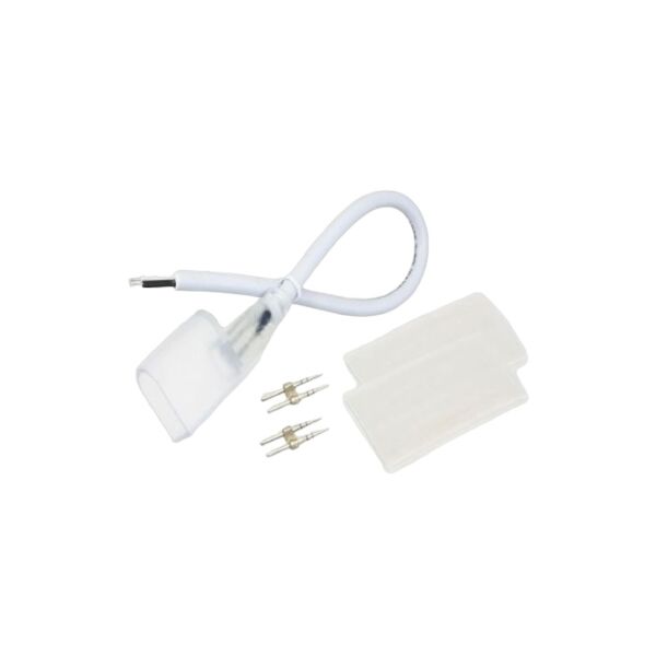 baytonia_main product photo