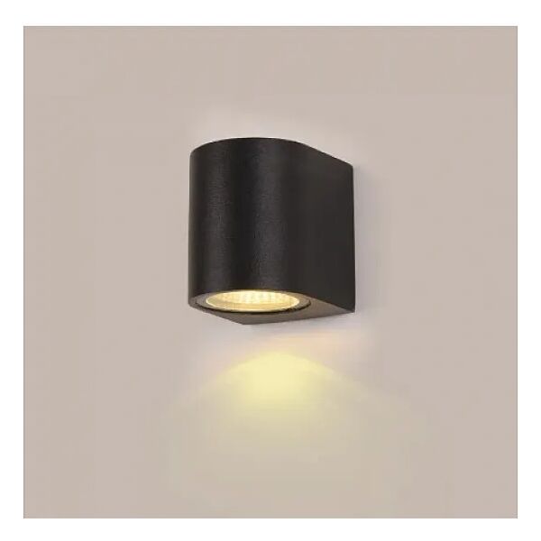 baytonia_main product photo