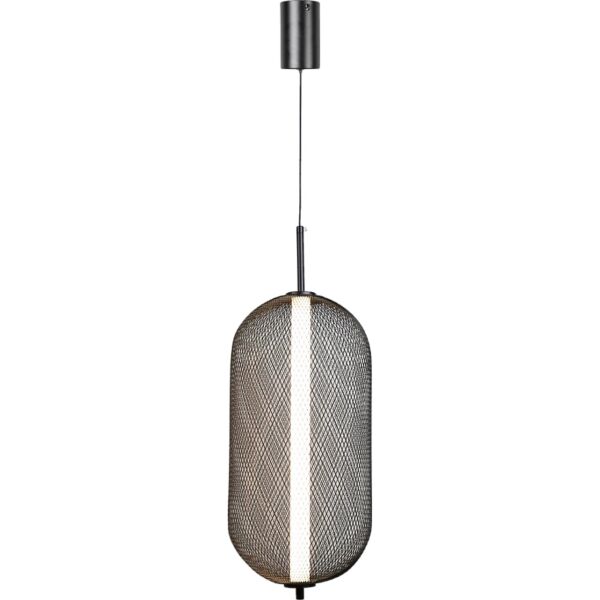 baytonia_main product photo