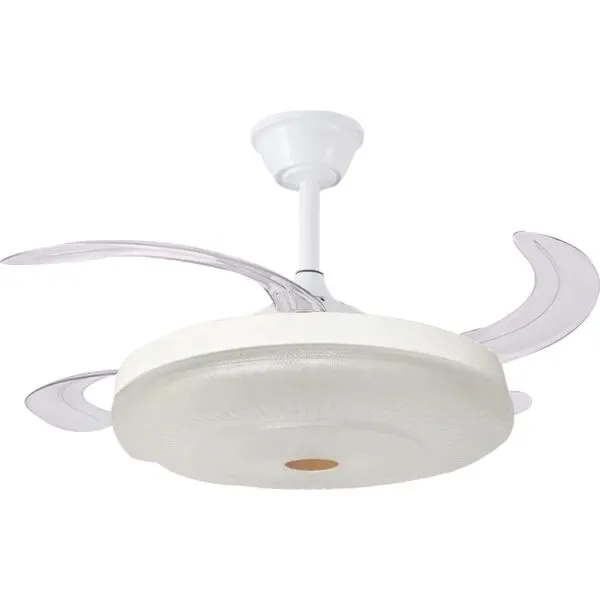 baytonia_gallery_image