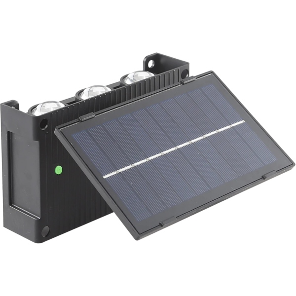 baytonia_gallery_image