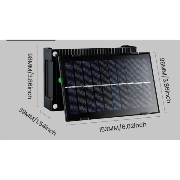 baytonia_gallery_image