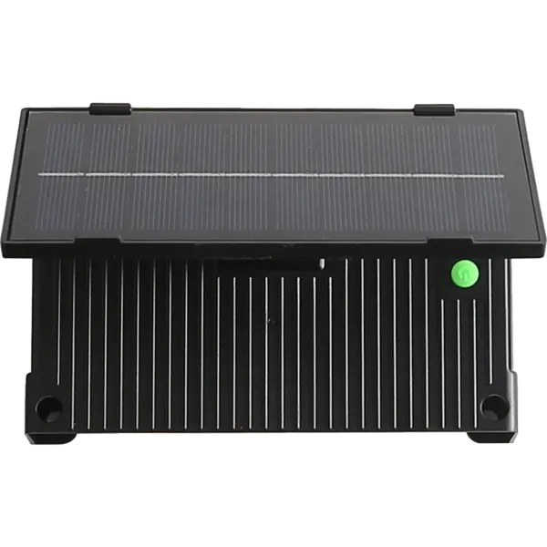 baytonia_gallery_image