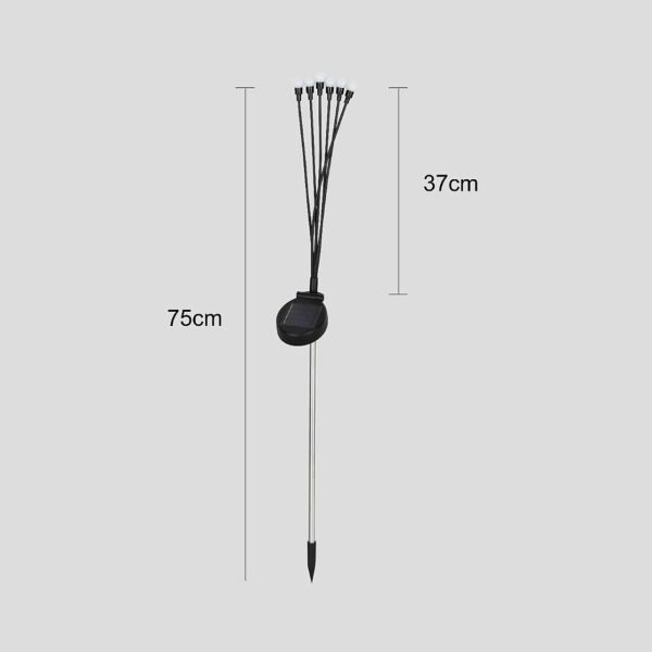 baytonia_gallery_image