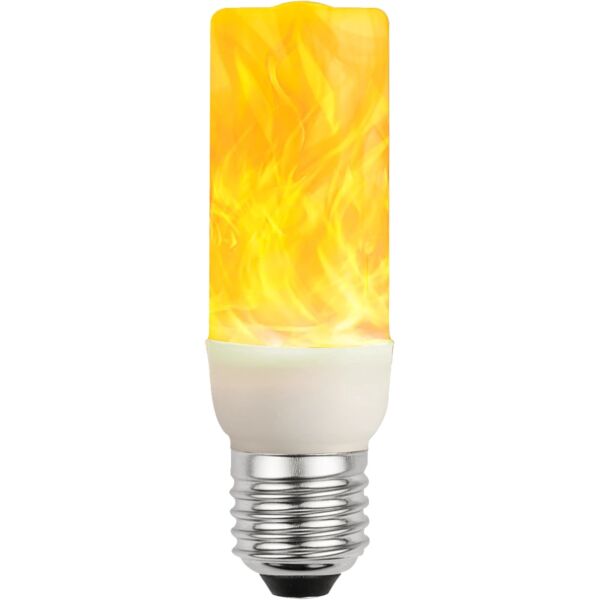 baytonia_main product photo