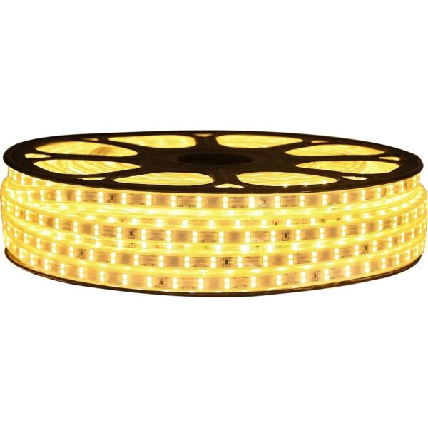 baytonia_main product photo