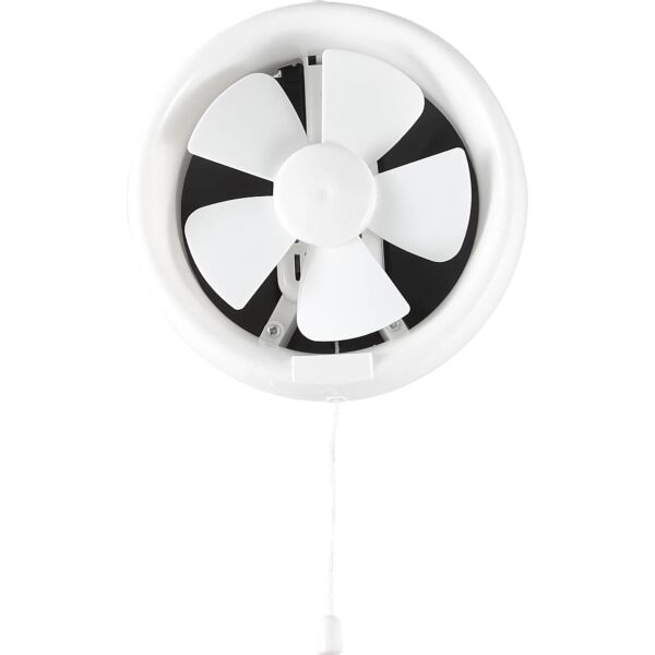 baytonia_main product photo