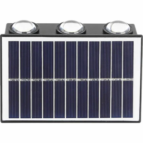 baytonia_gallery_image