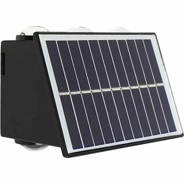 baytonia_gallery_image