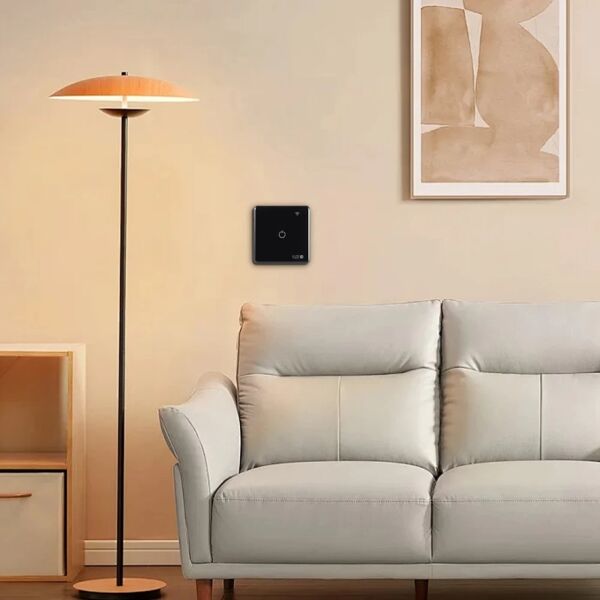 baytonia_gallery_image