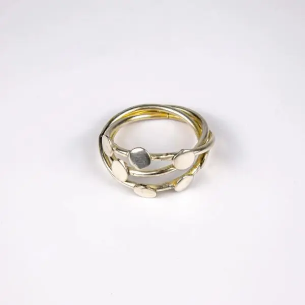 baytonia_gallery_image