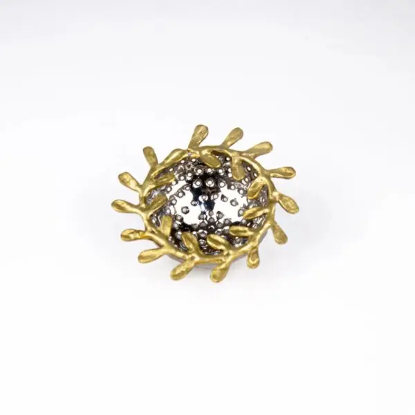 baytonia_gallery_image