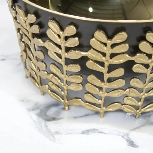 baytonia_gallery_image