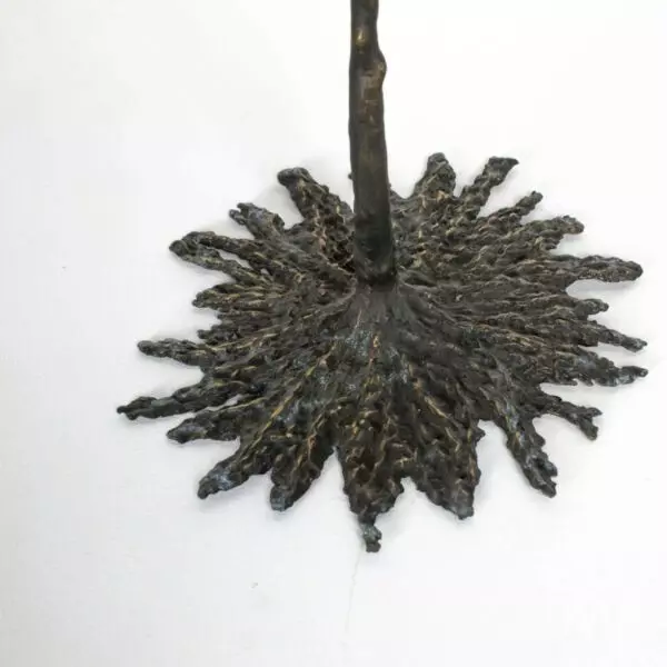 baytonia_gallery_image