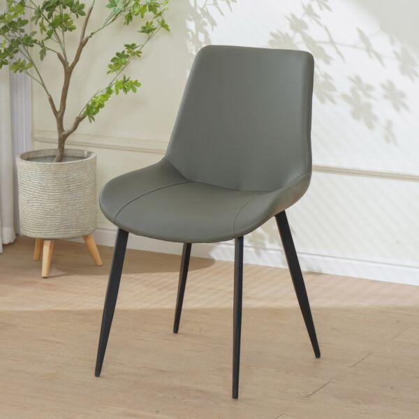 baytonia_main product photo
