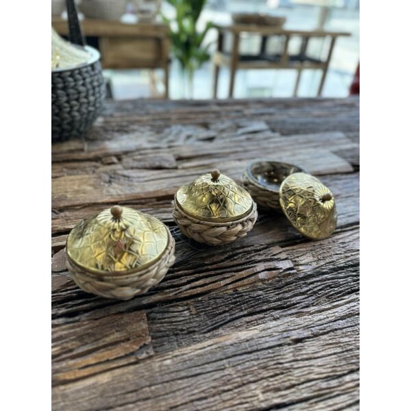 baytonia_gallery_image