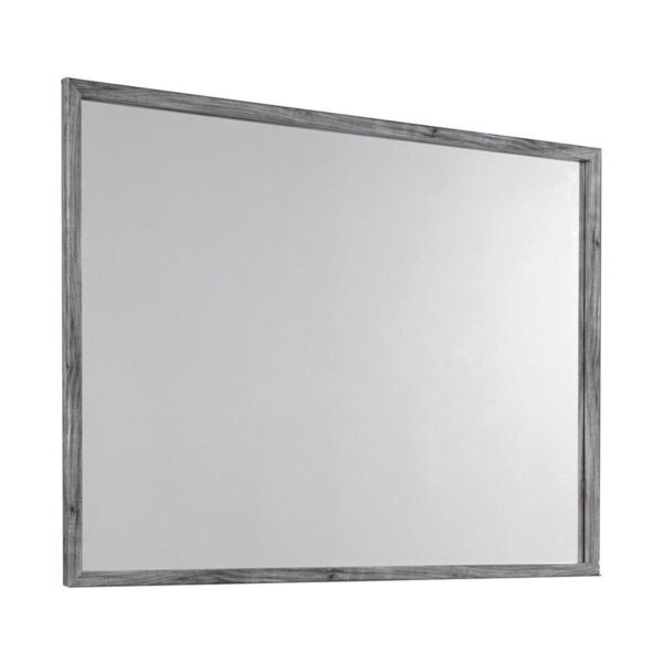 baytonia_main product photo