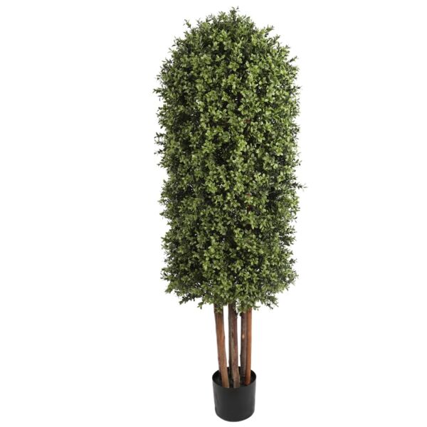 baytonia_main product photo