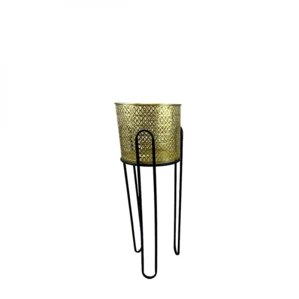 baytonia_gallery_image