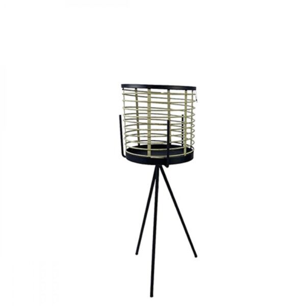 baytonia_gallery_image