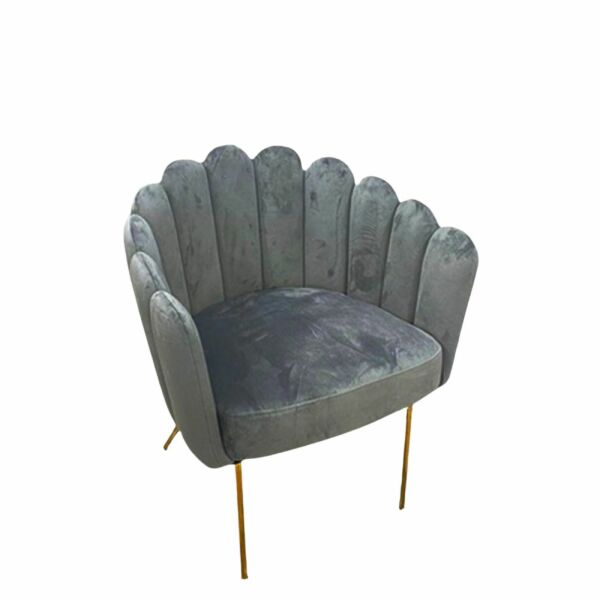 baytonia_main product photo