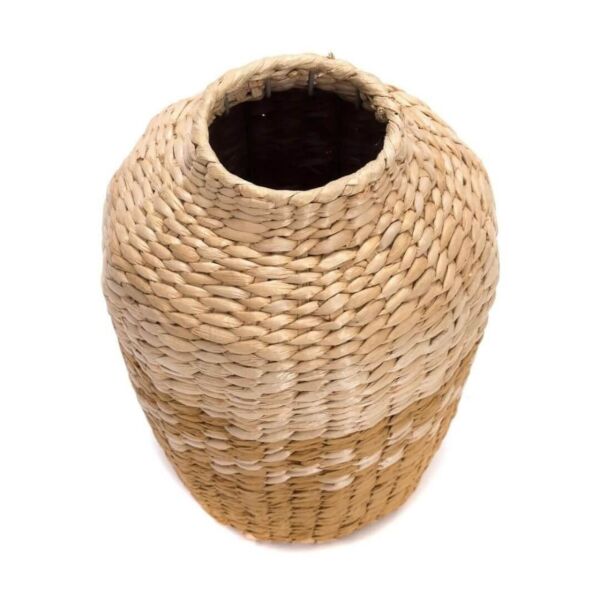 baytonia_gallery_image