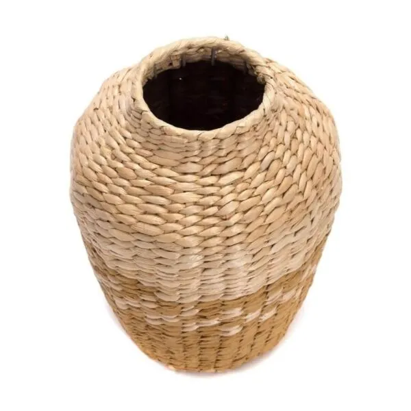 baytonia_gallery_image