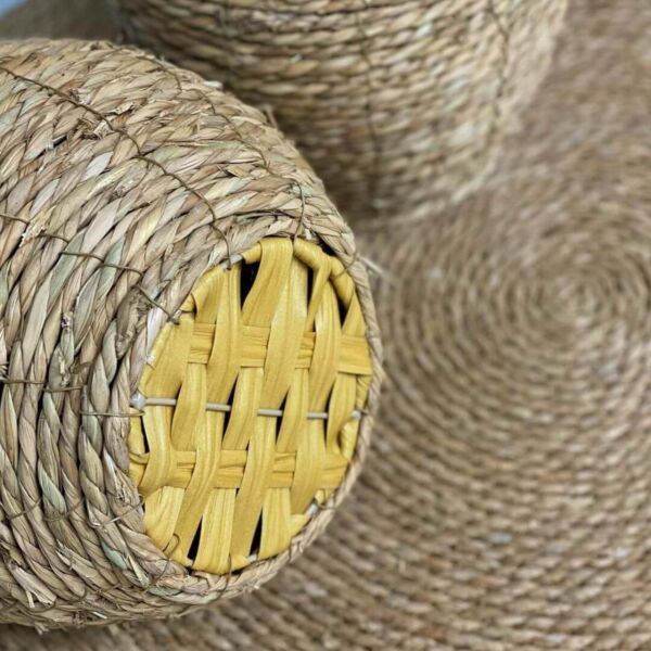 baytonia_gallery_image