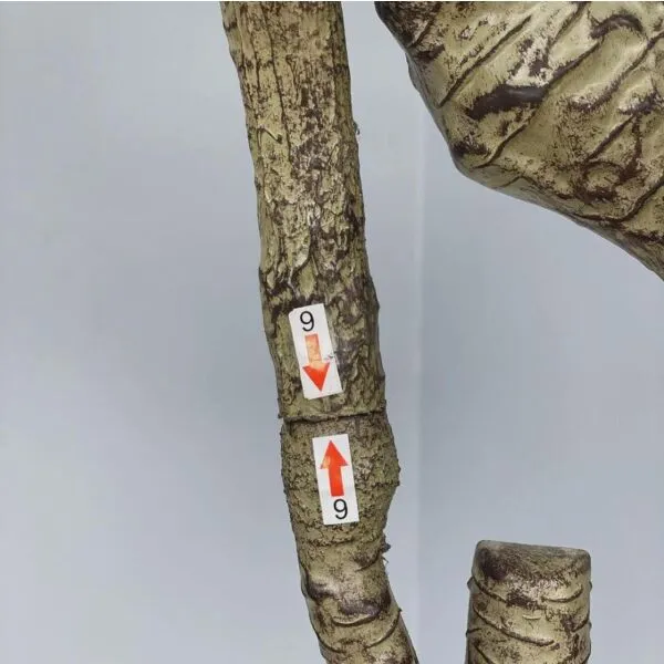 baytonia_gallery_image