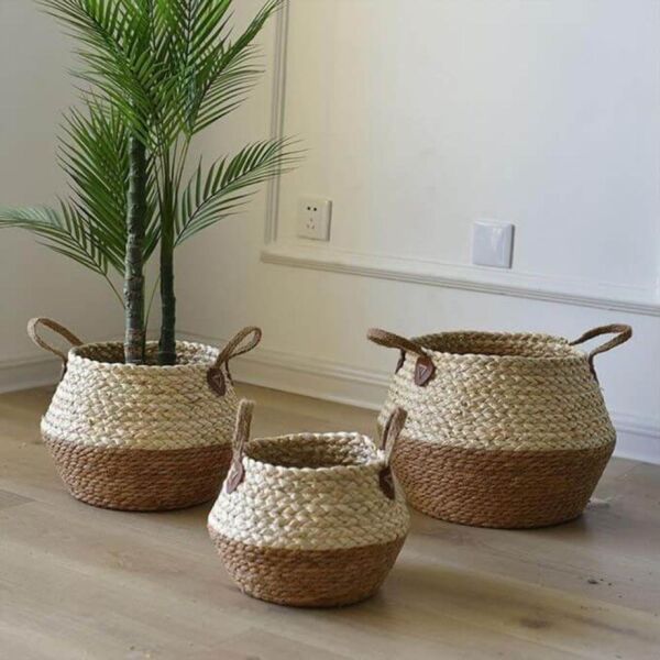 baytonia_main product photo
