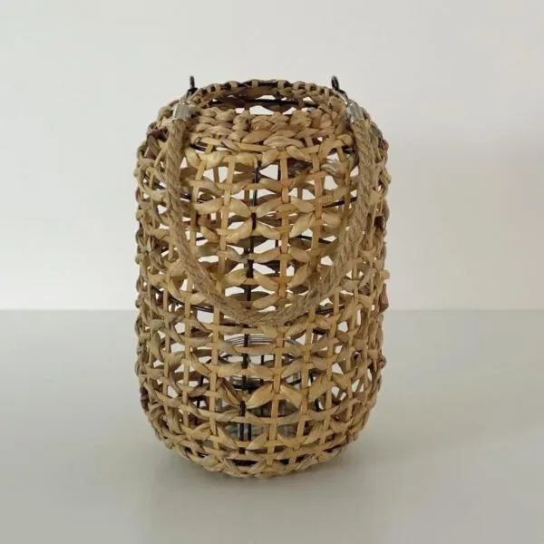 baytonia_gallery_image