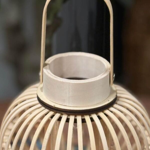 baytonia_gallery_image