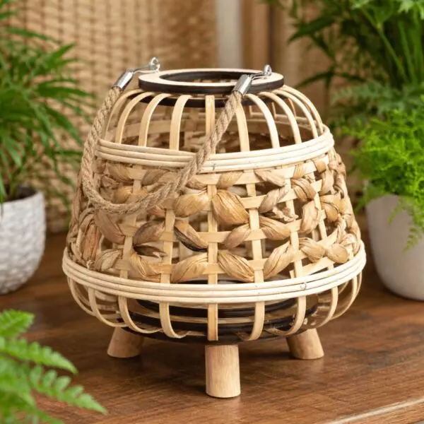 baytonia_gallery_image