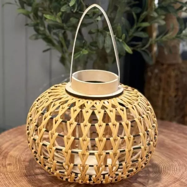 baytonia_gallery_image