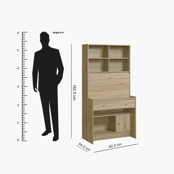 baytonia_gallery_image