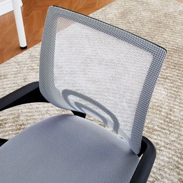 baytonia_gallery_image