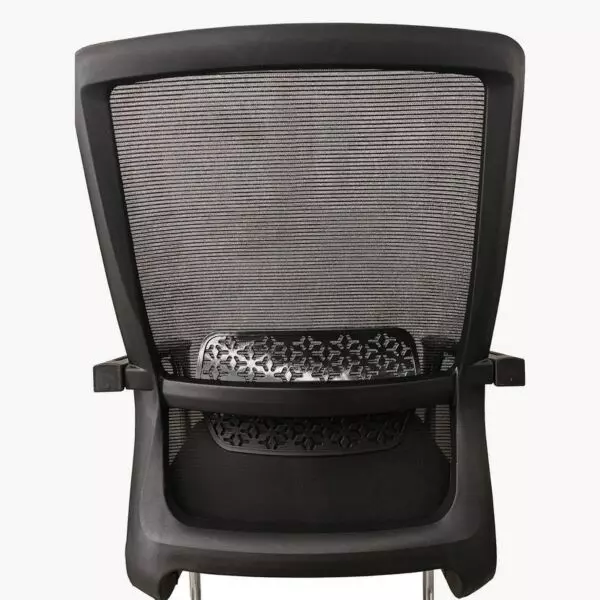 baytonia_gallery_image