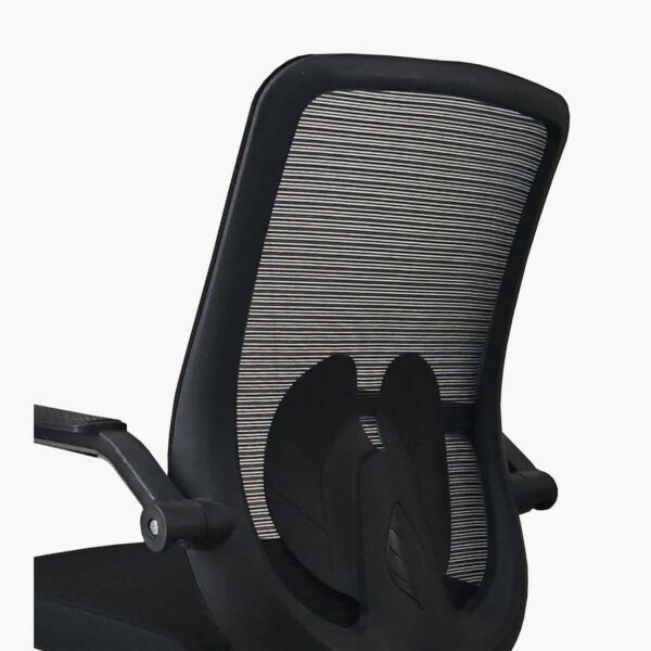 baytonia_gallery_image