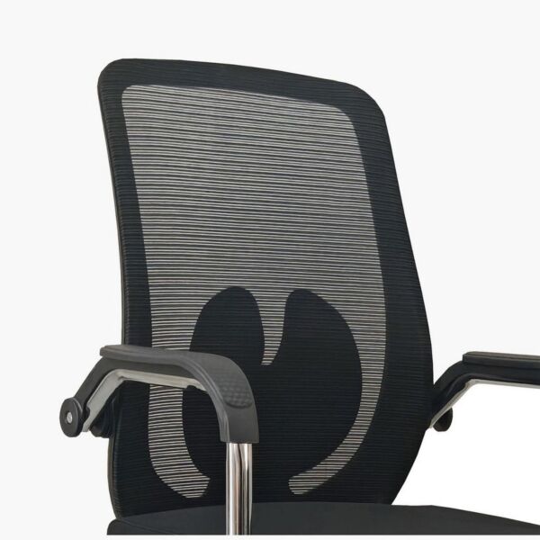 baytonia_gallery_image