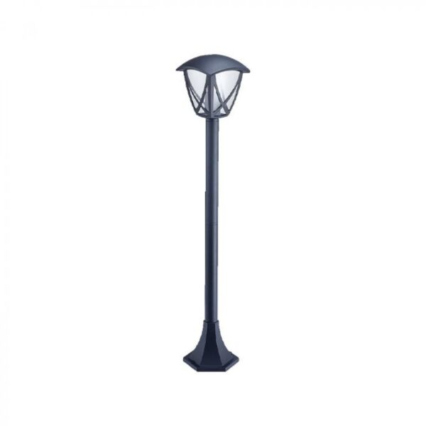 baytonia_main product photo